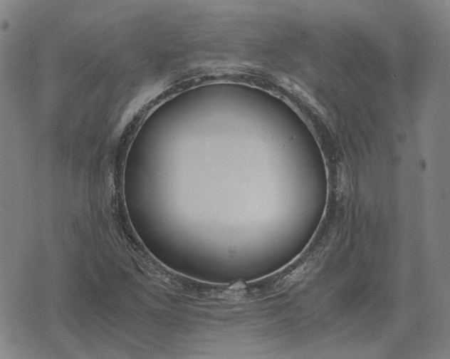 X0000076091261200610061632