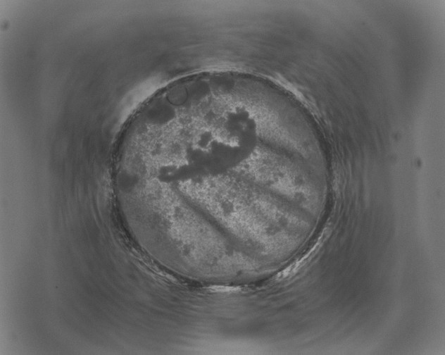 X0000076091263200610061632