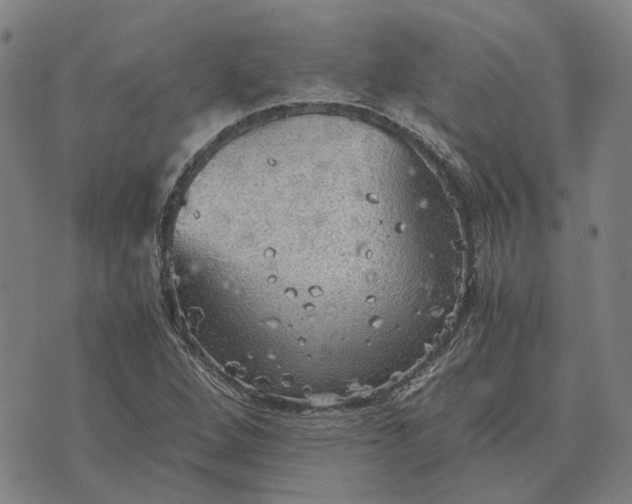 X0000076091264200610061632