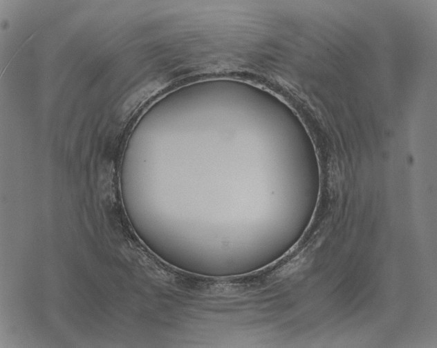 X0000076091265200610061632