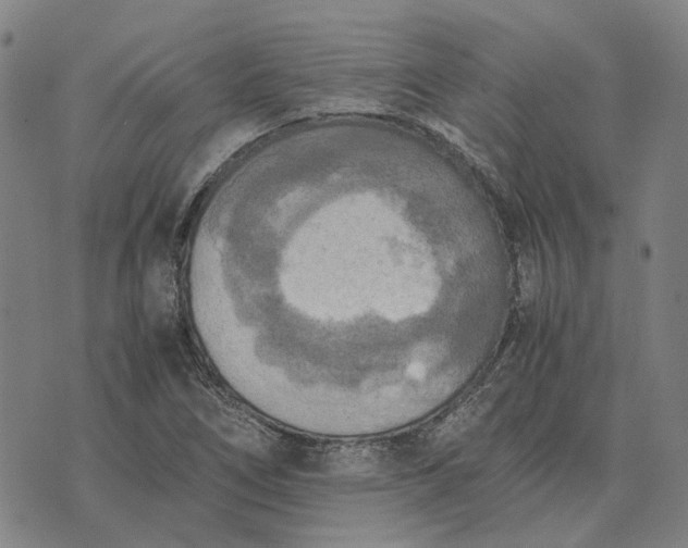 X0000076091266200610061632