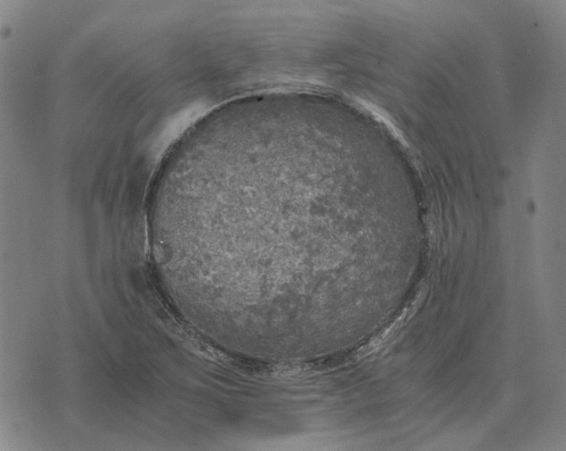 X0000076091267200610061632