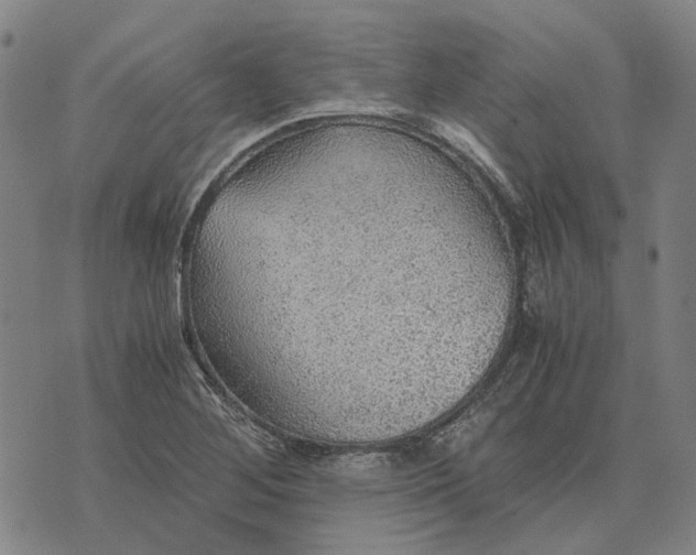 X0000076091268200610061632