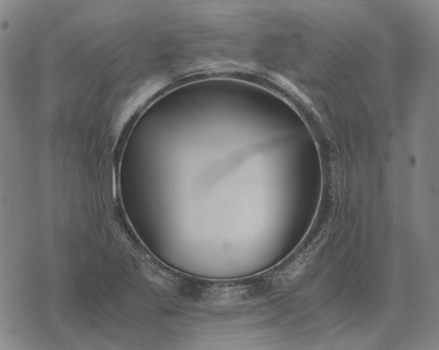 X0000076091269200610061632