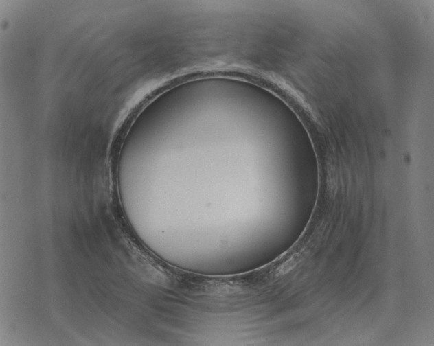 X0000076091270200610061632