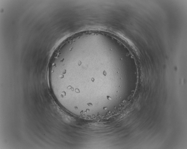 X0000076091272200610061632