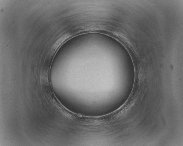 X0000076091273200610061632