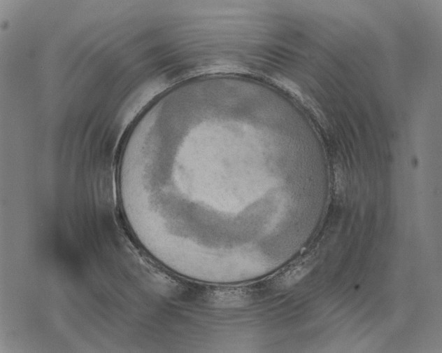 X0000076091274200610061632