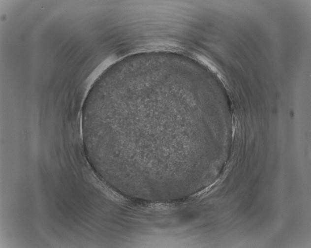 X0000076091275200610061632