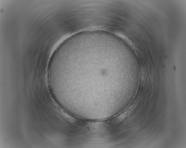 X0000076091278200610061632