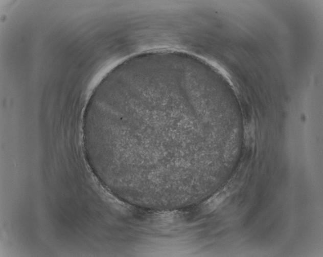 X0000076091279200610061632