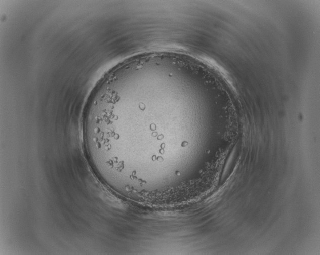 X0000076091280200610061632