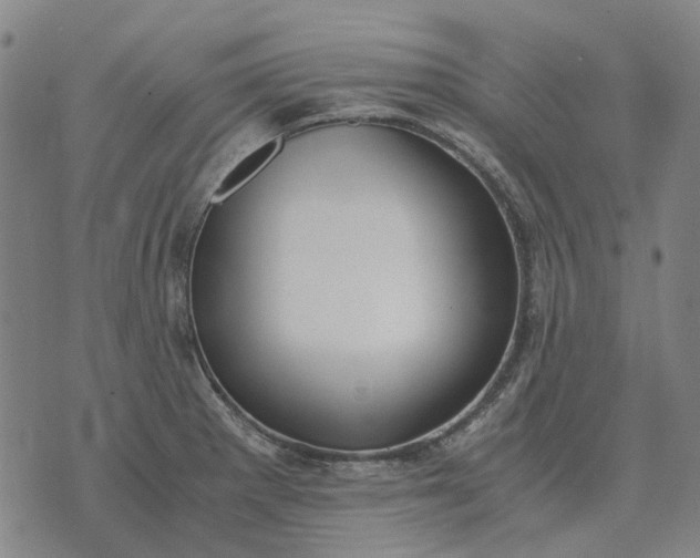 X0000076091281200610061632