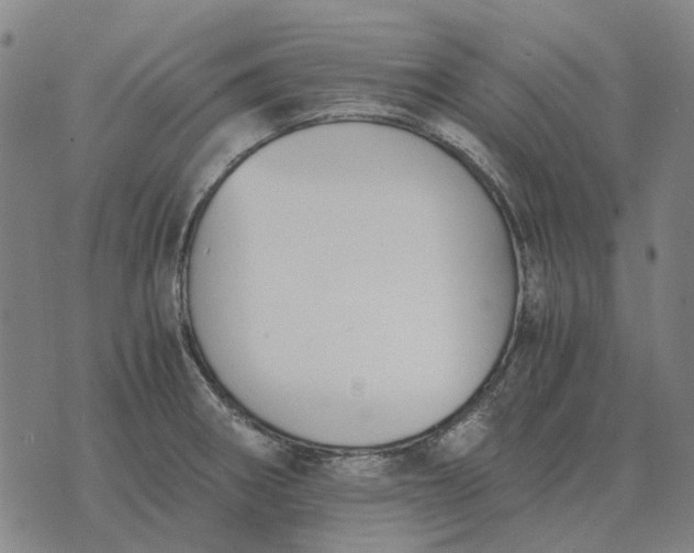 X0000076091282200610061632