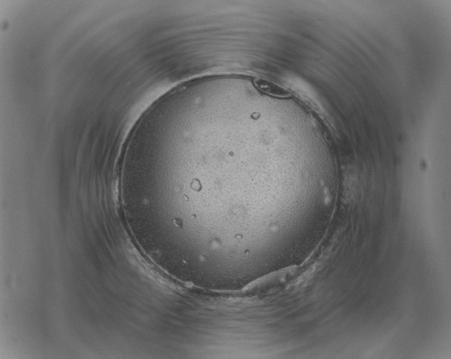 X0000076091284200610061632