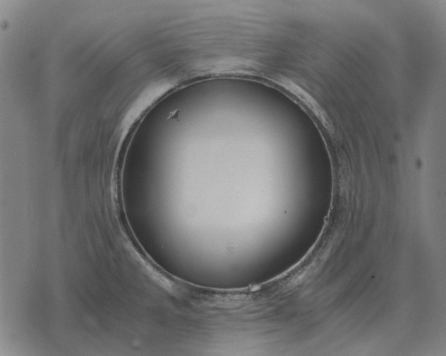 X0000076091285200610061632