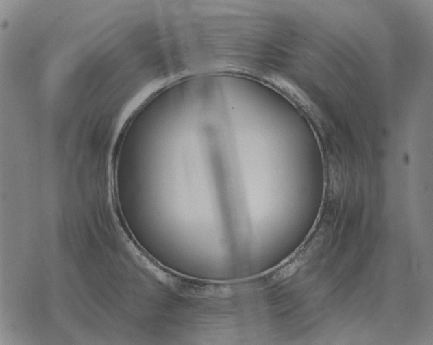 X0000076091286200610061632