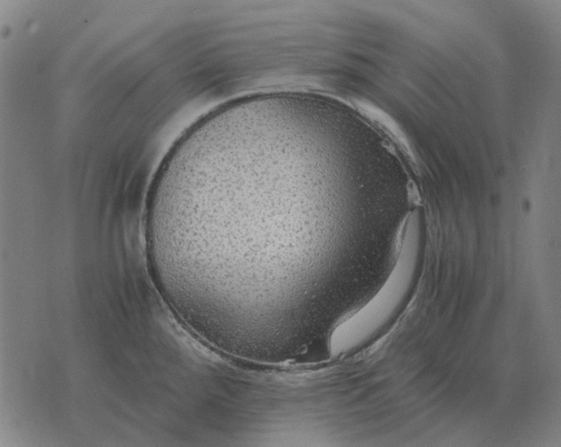 X0000076091288200610061632