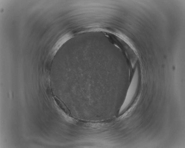 X0000076091289200610061632