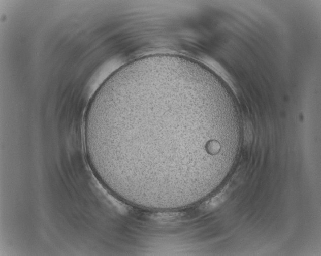 X0000076091290200610061632