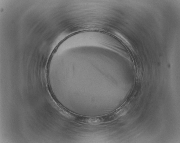 X0000076091291200610061632