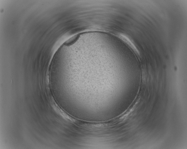 X0000076091292200610061632