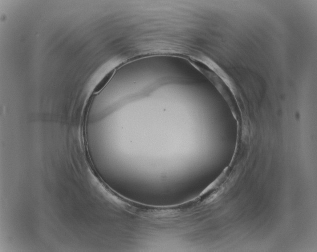 X0000076091293200610061632