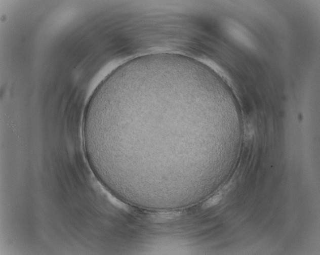 X0000076091294200610061632