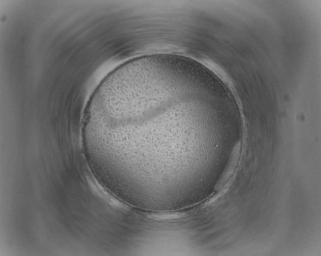 X0000076091296200610061632