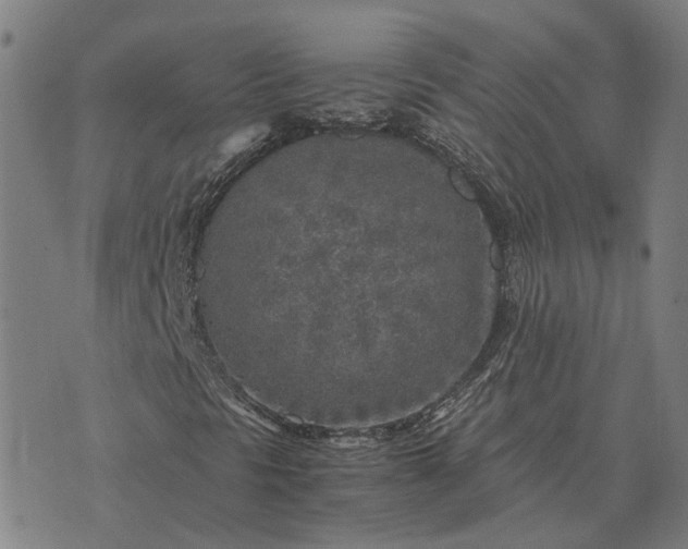 X0000076091297200610061631