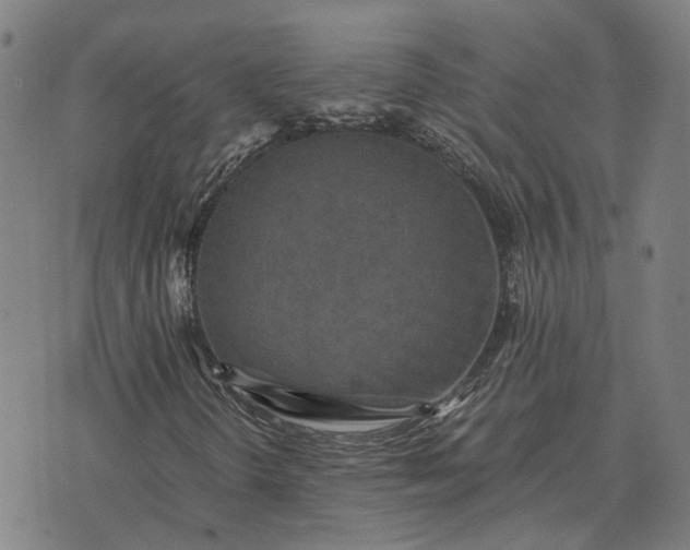 X0000076091298200610061631