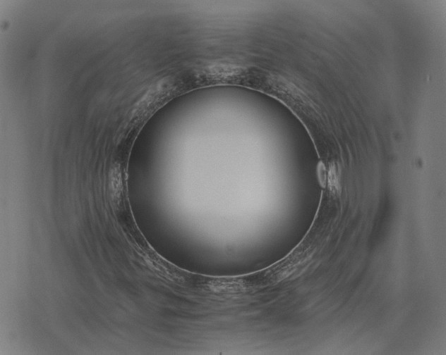 X0000076091299200610061631