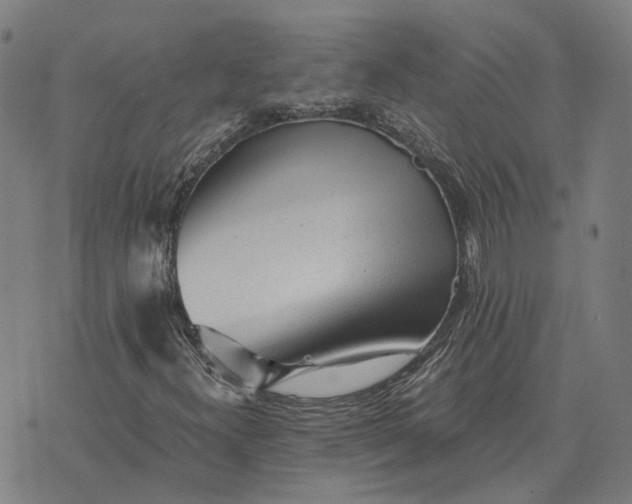 X0000076091300200610061631