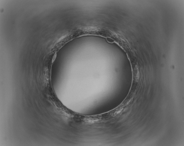 X0000076091301200610061631