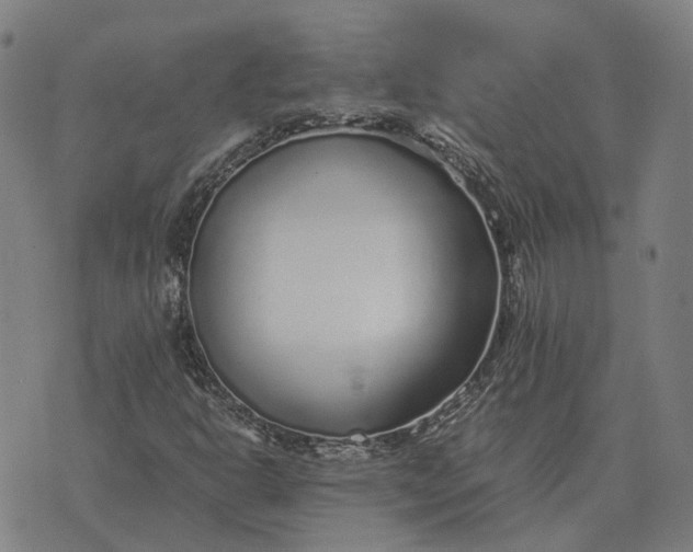 X0000076091302200610061631