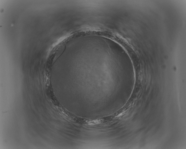 X0000076091303200610061631