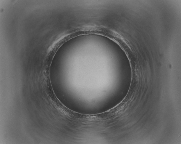 X0000076091304200610061631