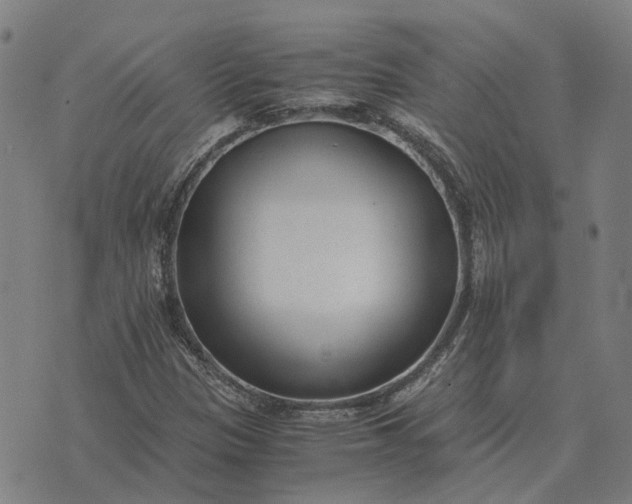 X0000076091305200610061631