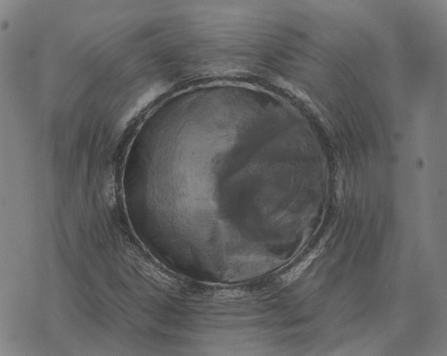 X0000076091306200610061631