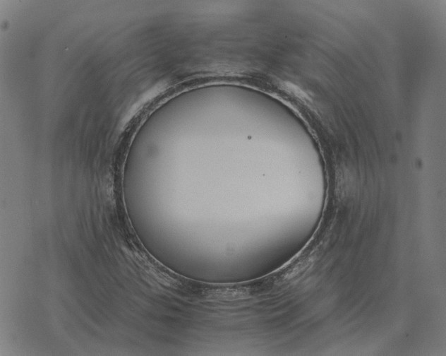 X0000076091307200610061631