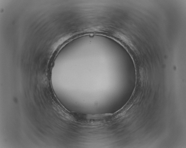 X0000076091308200610061631