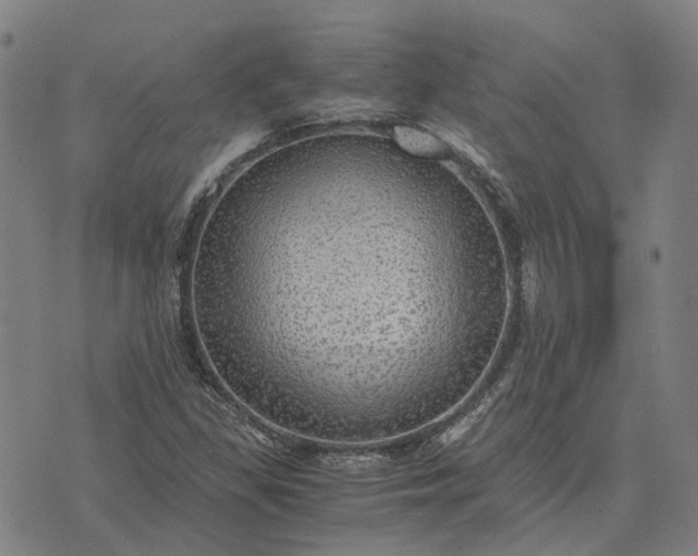 X0000076091309200610061631