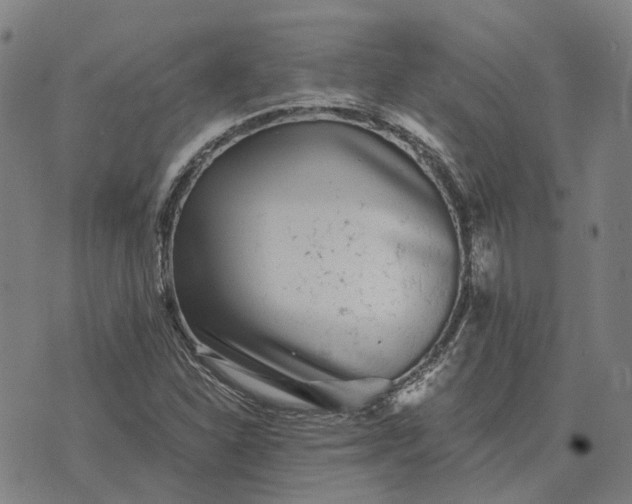 X0000076091310200610061631