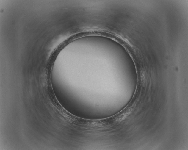 X0000076091311200610061631