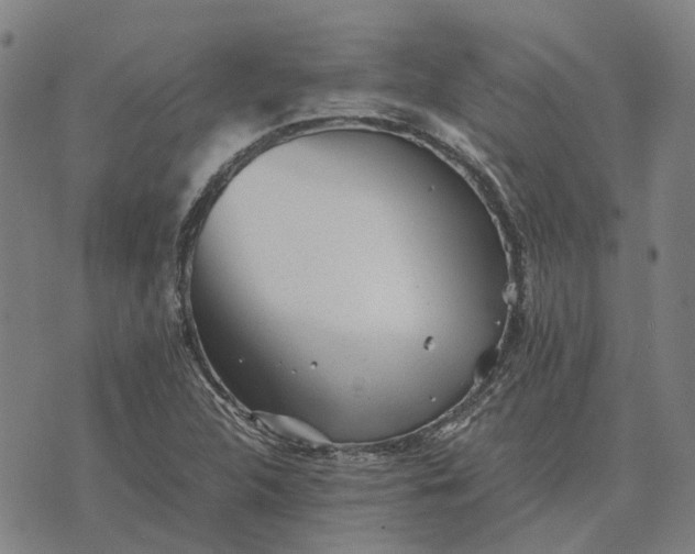 X0000076091312200610061631