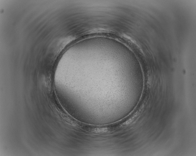 X0000076091313200610061631