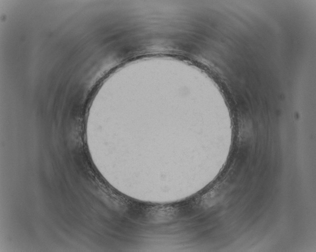 X0000076091314200610061631