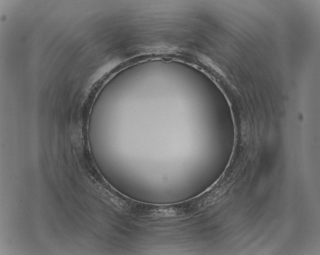 X0000076091315200610061631