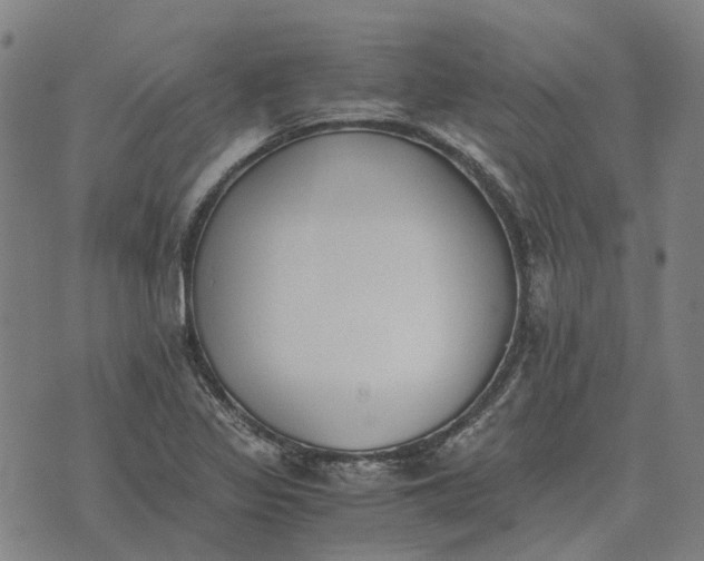 X0000076091317200610061631