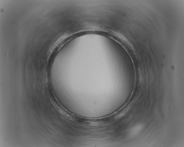 X0000076091318200610061631